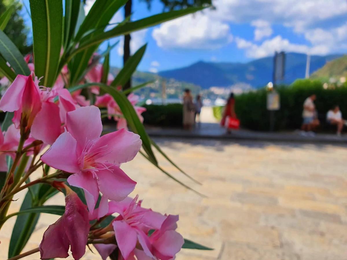 Appartement Divina Luxury With Jacuzzi Near The Côme